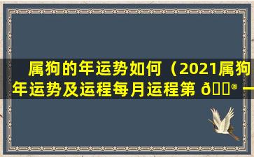 属狗的年运势如何（2021属狗年运势及运程每月运程第 💮 一星座）